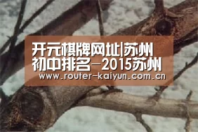 开元棋牌网址|苏州初中排名-2015苏州小升初(图1) 开云体育官网